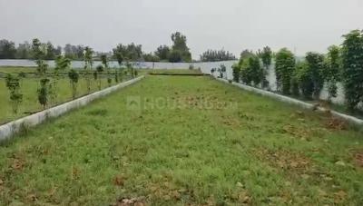 Image of 1800 Sq.ft Residential Plot / Land for sale in Khugauali, Amroha for Rs. 4000000