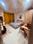 Wazirabad, Sector 52 Bedroom 2