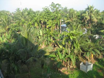 Image of 1200 Sq.ft 3 BHK Apartment / Flat for sale in Aluva, Kochi for Rs. 3000000