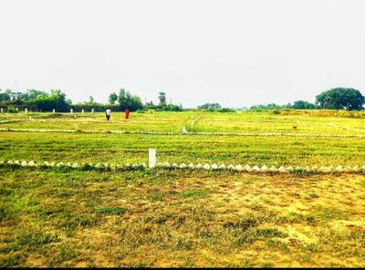 Image of 1000 Sq.ft 2.5 BHK Farm House for sale in Nohsa, Patna for Rs. 1740000