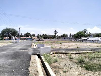 Annur Plot View 1