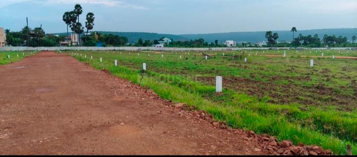 golden beach Main Image 1