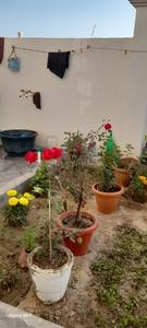 Image of 2000 Sq.ft 5 BHK Independent House for sale in Maswani, Fatehpur for Rs. 11500000
