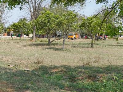 Residential Plot