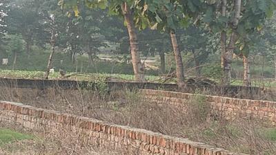 Image of 1000 Sq.ft Residential Plot / Land for sale in Airport Area, Gorakhpur for Rs. 451000