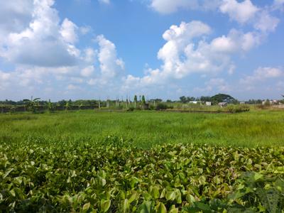 Image of 720 Sq.ft Residential Plot / Land for sale in Raspunja Township, Joka, Kolkata for Rs. 266654