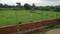 INDEPENDENT PLOT Plot View 2