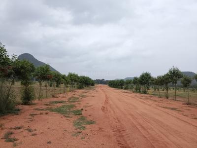 Image of 900 Sq.ft Residential Plot / Land for sale in Chieerupalle, Vizianagaram for Rs. 400000
