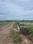 Padiala Plot View 2