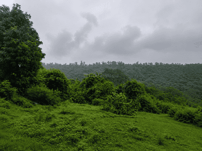 Model Town Plot View 2