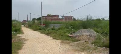 Image of 1000 Sq.ft Residential Plot / Land for sale in Banthra Sikander Pur, Lucknow for Rs. 1500000