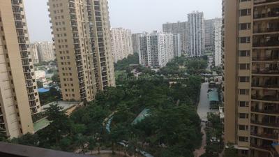 Kitchen Image of 1660 Sq.ft 3 BHK Apartment / Flat for rent in Dasnac The Jewel, Sector 75 Noida for Rs. 50000