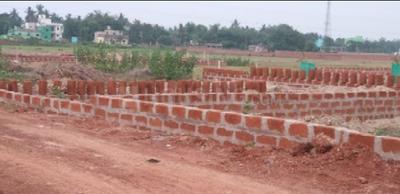 Patrapada Plot View 2