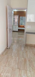 Kitchen Image of 1350 Sq.ft 3 BHK Apartment / Flat for rent in MSX Group Alpha Homes, Alpha I Greater Noida for Rs. 30000