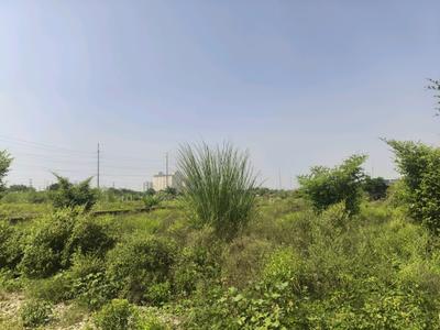 Image of 60 Sq.ft Residential Plot / Land for sale in Bhanauta, Greater Noida for Rs. 2114700