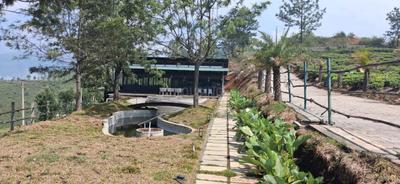 Image of 9000 Sq.ft Residential Plot / Land for sale in Kotagiri, Ooty for Rs. 6195000