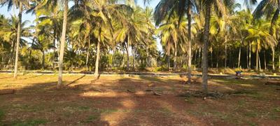 Image of 1200 Sq.ft Residential Plot / Land for sale in Madaragalli, Mysore for Rs. 3840000