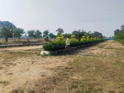 Image of 1000 Sq.ft Residential Plot / Land for sale in Amethi, Lucknow for Rs. 1600000