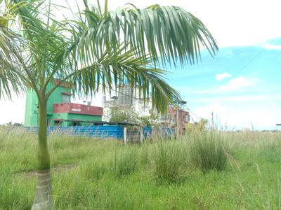 Image of 1080 Sq.ft Residential Plot / Land for sale in Fresco Fountain City Plots, Sankharipota, Raypur for Rs. 500000