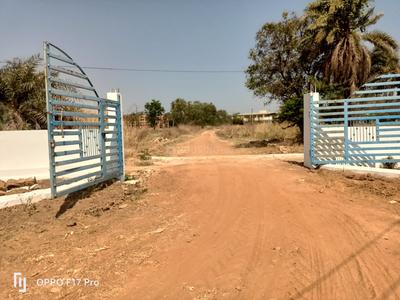 Narayankhed Plot View 1