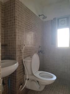 Common Bathroom Image of 1592 Sq.ft 3 BHK Apartment / Flat for sale in Paras Tierea, Sector 137 Noida for Rs. 13000605