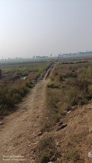 Beldarichak Main Image 1