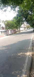 Sector 8 Plot View 3