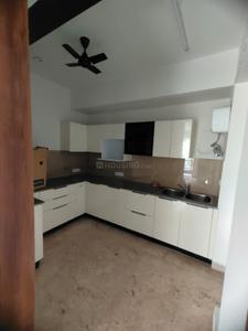 Kitchen Image of 1850 Sq.ft 3 BHK Apartment / Flat for rent in Beverly Golf Avenue, Sector 65 Mohali for Rs. 65000