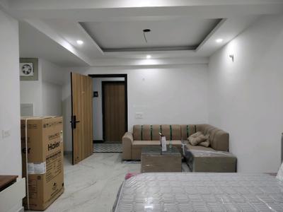 1 RK Apartment