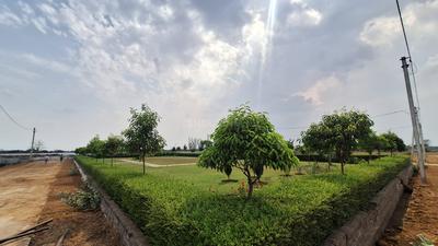 Image of 1200 Sq.ft Residential Plot / Land for sale in Raipura, Raipur for Rs. 1260000