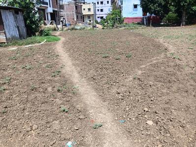 Danapur Nizamat Plot View 3