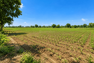 Image of 5445 Sq.ft Residential Plot / Land for sale in Uvarsad, Gandhinagar for Rs. 76000080
