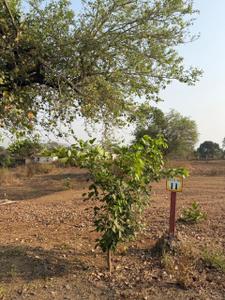 Image of 3800 Sq.ft Residential Plot / Land for sale in Karjat, Thane for Rs. 2900000