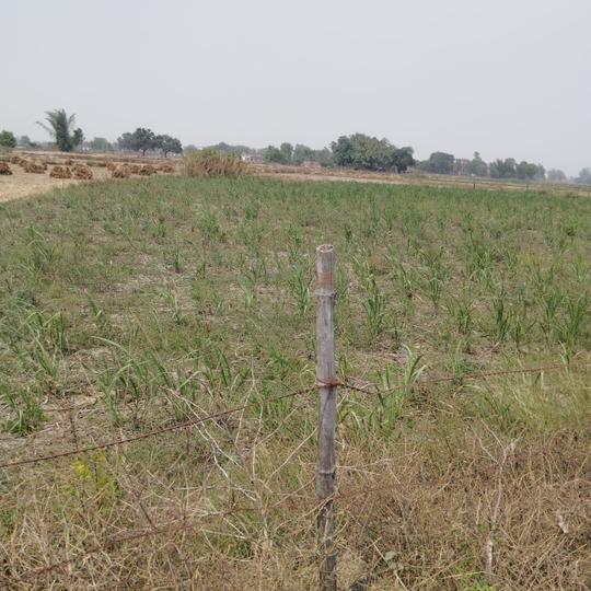 Malikpur Main Image 1