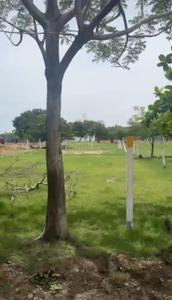 Adityaram Nagar Plot View 2