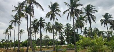 Image of 600 Sq.ft Residential Plot / Land for sale in Kuvathur, Chennai for Rs. 720000