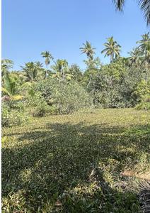 Residential Plot