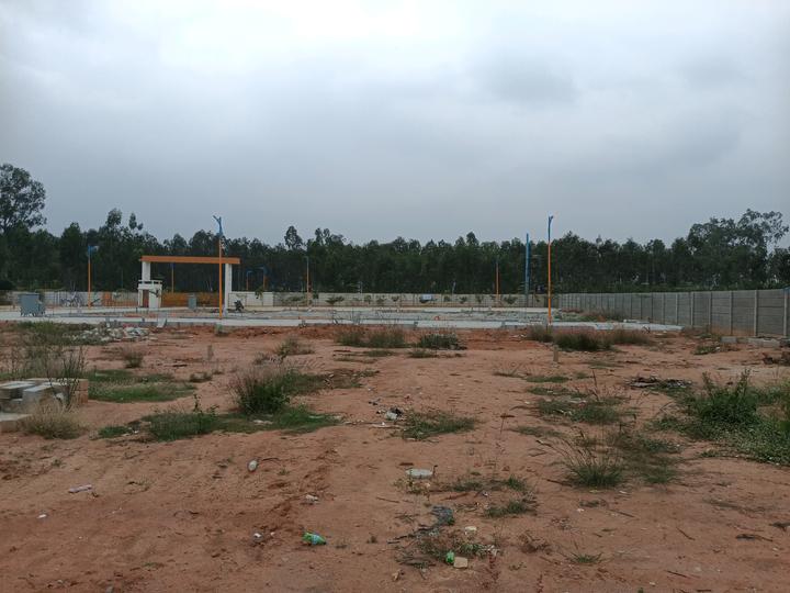 Sreevari Forest Glade Main Image 1