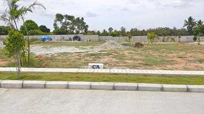 Residential Plot