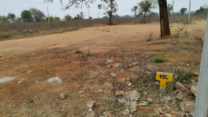 green earth Main Image 1