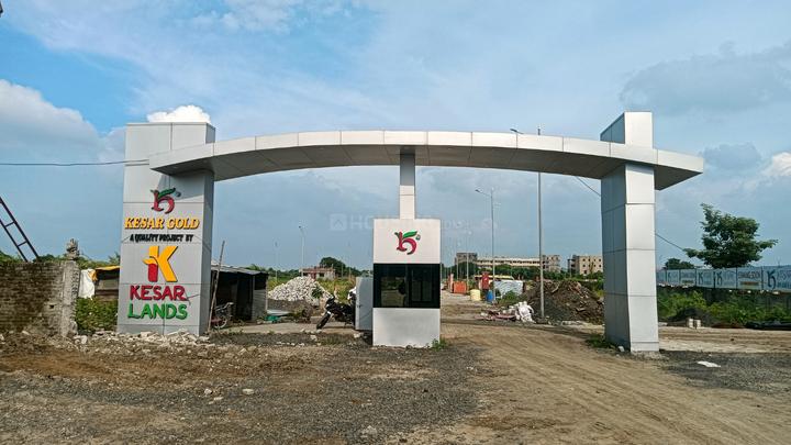 Kesar Gold Main Image 1