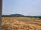 Kadthal Plot View 2
