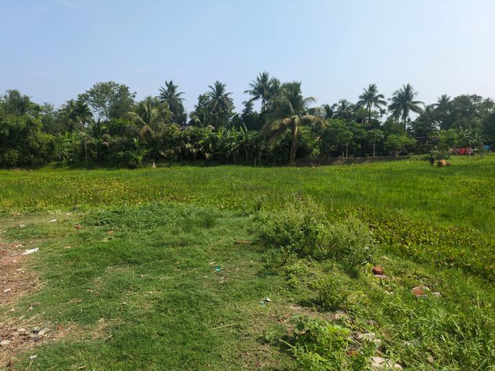Diamond Park Main Image 1