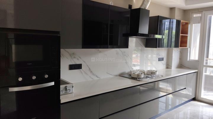 Sector 49 Main Image 1