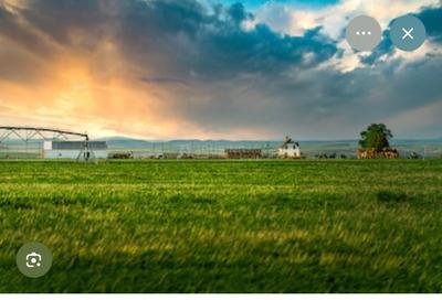 Image of 16000 Sq.ft 5 BHK Farm House for sale in Shaligram Rudraksh Kingston, Bawadiya Kalan, Bhopal for Rs. 72500000
