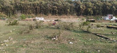 Image of 1350 Sq.ft Residential Plot / Land for sale in Pondha, Dehradun for Rs. 4050000