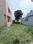 Mothrowala Plot View 2