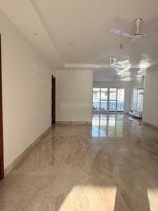 Hall Image of 5000 Sq.ft 3.5 BHK Builder Floor for rent in Sector 8 Chandigarh for Rs. 175000