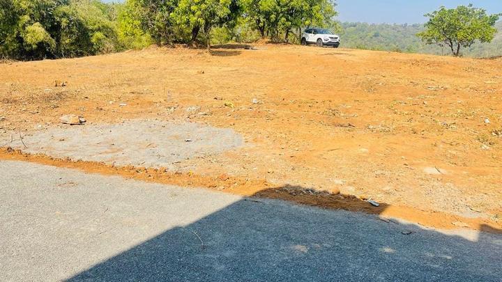 Palaspa, Shirdhon Main Image 1