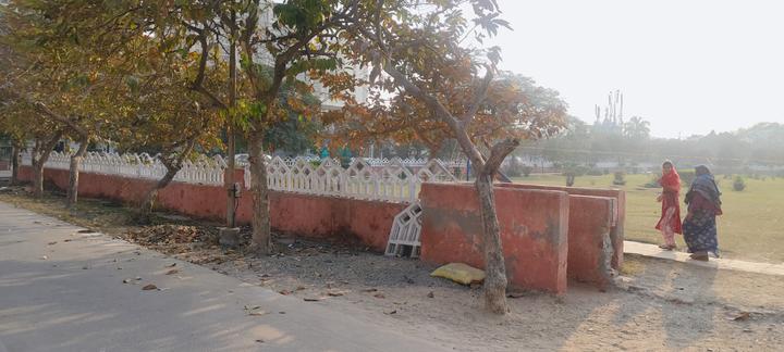 Cassia Fistula Estate Main Image 1